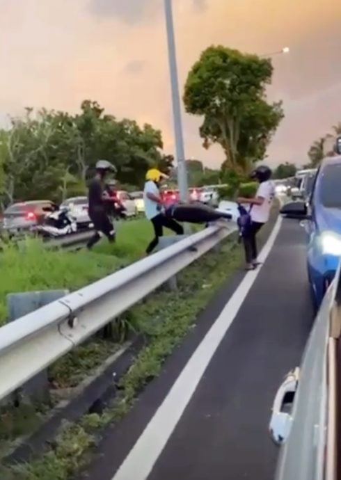 （大北马）违规骑士吓得乱窜，跳稻田逃抬摩托车过防护栏，警指示580骑士推摩托车1.5公里回警局