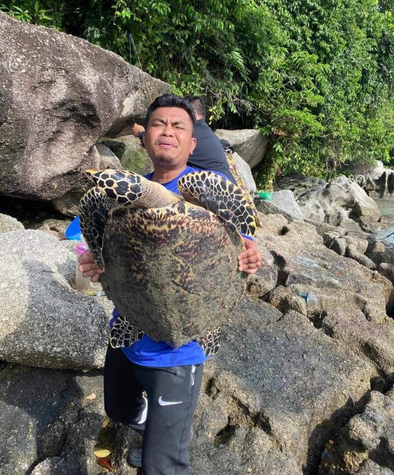 （大北马）钓鱼客美湖钓到大海龟，拍照留念后放生回大海