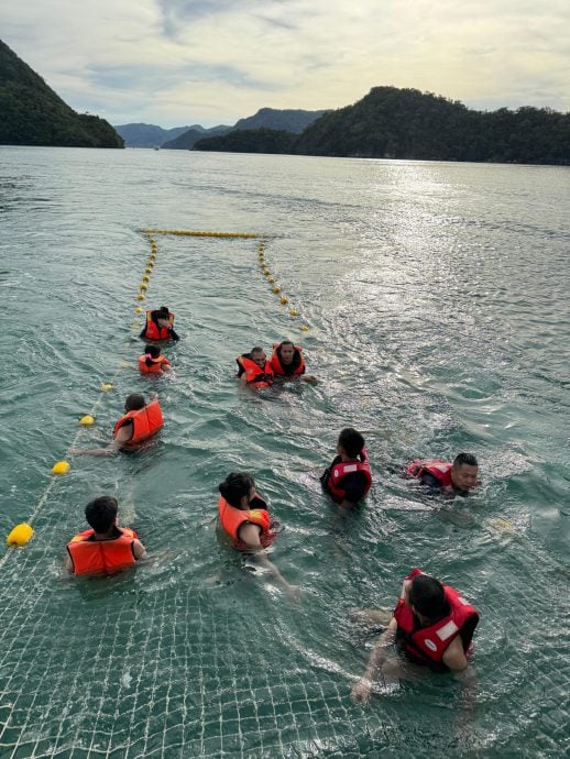 （大都会）双福障友圆梦出海