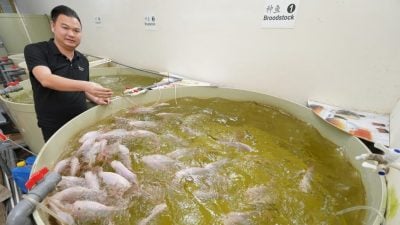 RAS水產養殖專家Dr Fish魚博士   為“未來還有魚”作出巨大貢獻