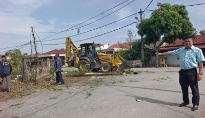 屋主无视警告 市厅出手  拉大队清理“森林屋”