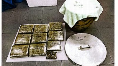 警联合行动取缔2地   起值逾4万大麻捕1男