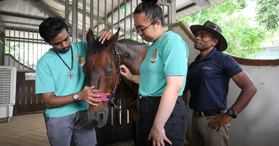 ‘Animals don’t judge you’: Caring for animals draws reclusive Singaporean youth out of their homes