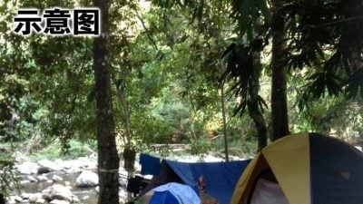 熟睡中被倒树砸中 女登山客昏迷不治