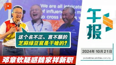 魏家祥新职引邓章钦不解“这芝麻绿豆官干啥？华社投资是副首相任务？中资不是有MIDA负责？”