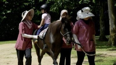 馬術治療  開啟特殊兒童心門