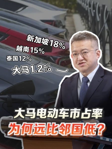 國內純電動車銷量低 5年後達20%目標可期？