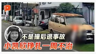 “撞后逃”事故案情大反转 小凯欣不治结束10年短暂一生