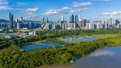 The Establishment Agreement of the International Mangrove Center was signed in Shenzhen, China