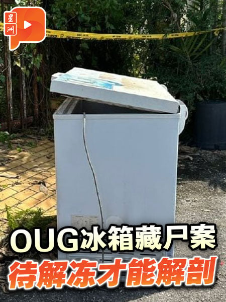 OUG冰箱藏屍案  消息：嫌犯用布捆綁遺體塞冰箱