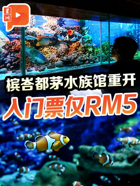 槟峇都茅水族馆重开 入门票仅RM5 游客观赏上百种鱼