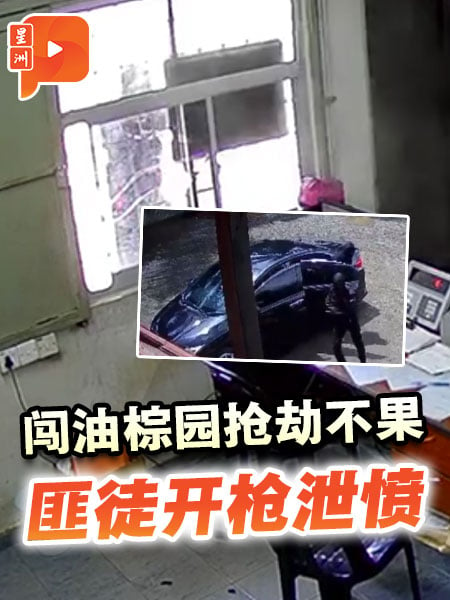 闖油棕園搶劫被CCTV全錄下 警方通緝4猖狂匪徒