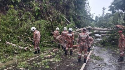 狂風暴雨多地倒樹 消拯民防隊忙清理