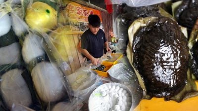 森州饮食评鉴500强 | 知知港茶粿档 软糯香甜的客家味