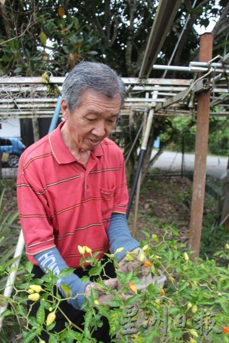 《乐活频道》：张俊明阅读《星洲日报》60年，平时剪报记录要闻，人生一大乐事