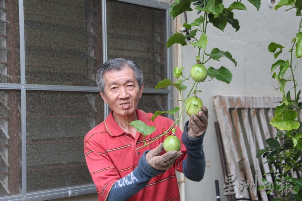 《乐活频道》：张俊明阅读《星洲日报》60年，平时剪报记录要闻，人生一大乐事