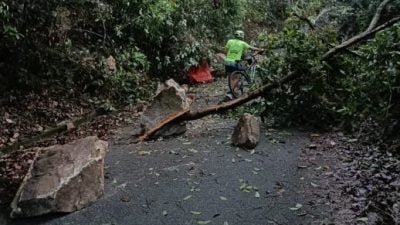 万里望升旗山传山体滑坡 霹森林局派员检查