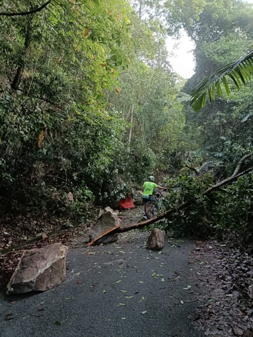 万里望升旗山传山体滑坡 霹森林局派员检查