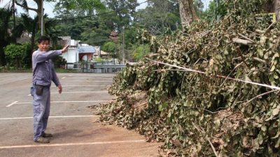 三度排水溝提升工程 盼解合作社花園常年水災隱憂