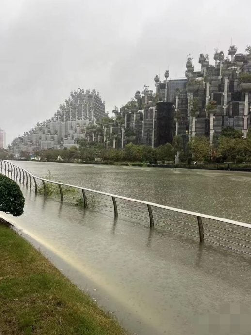 上海暴雨致苏州河部分亲水平台被淹？市防汛办：已开闸排水