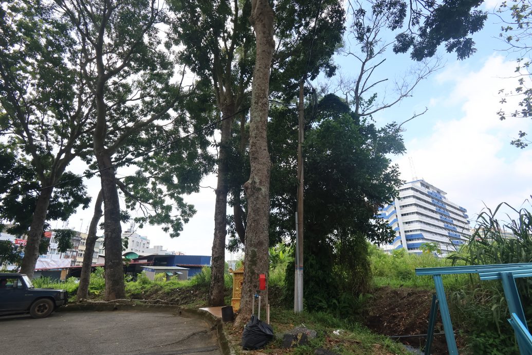 东：关丹市政厅公关诺哈雅杜胡达披露，为应对雨季，市政厅已经提前做好准备，鉴定高风险的树木