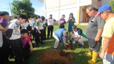 双溪兰中学树苗培植计划   20学生学种猫山王