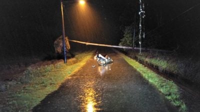 撞上被暴风雨吹倒椰树  摩托骑士重伤亡