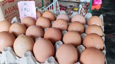 邱文正接饮食业者投诉 山打根严缺普通鸡蛋