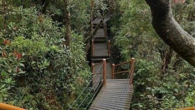 梁耀雯：景點活動多樣化 彭旅業雨季未必是淡季