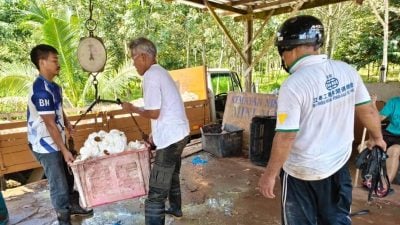 膠工：遇雨季 產量低  膠價漲 高興不起來