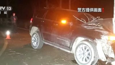 为骗保自导自演交通意外 男子开车撞树亡