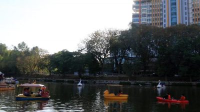 新營運商申請接管 芙皇家山湖濱公園劃舟遊湖活動有望重啟