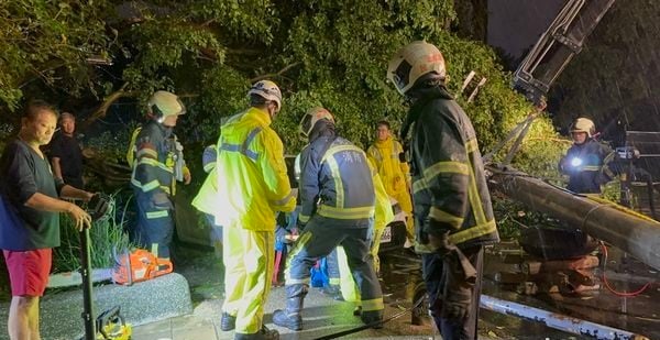 台风天买晚餐 骑士遭电线杆砸爆头 母妹紧牵手认尸