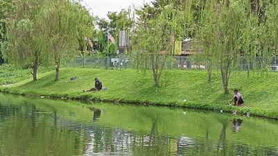 亂丟垃圾還就地大解!  垂釣者汙染湖景公園