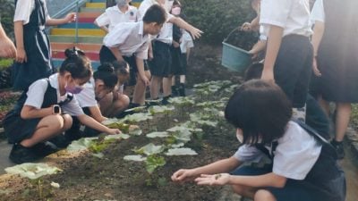 绿意盎然 | 打造安新华小户外学习园地   董事长当“校工”辟菜园