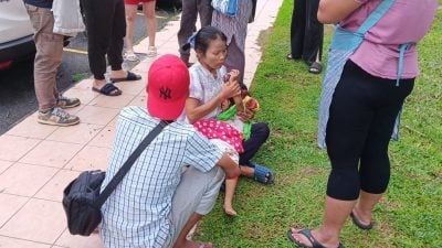 女童衝出馬路遭車輾頭 浴血躺在母親懷抱