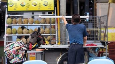 阿罗街残障小贩很无奈  非法榴梿摊 霸占OKU摊位