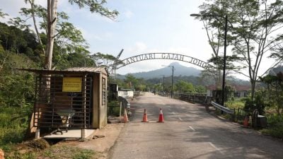 21 food banks for wild elephants in Johor