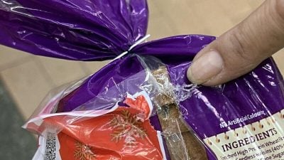 咬破食品卫生堪忧 狮城武吉巴督商家有“鼠不尽”烦恼