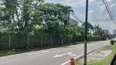 10岁女童遭撞后逃   警方急寻2目击者