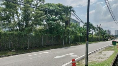 10岁华小学生被撞了逃案 警疏忽驾驶角度 开档调查