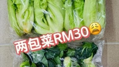 巴刹2包青菜卖30元！网：宁去大卖场更便宜