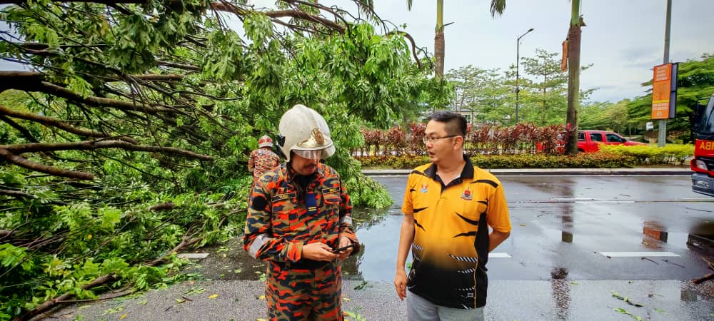 巴生午后暴雨 多地树倒砸车