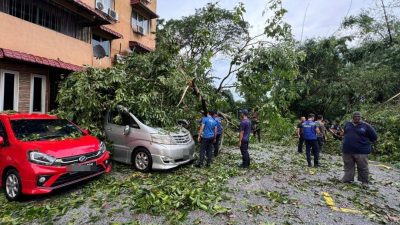 巴生午後暴雨 多地樹倒砸車