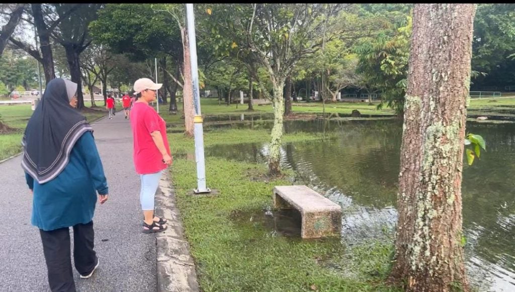 怡马球场现“水上走道”奇景 晨运者惊讶看到鱼儿游