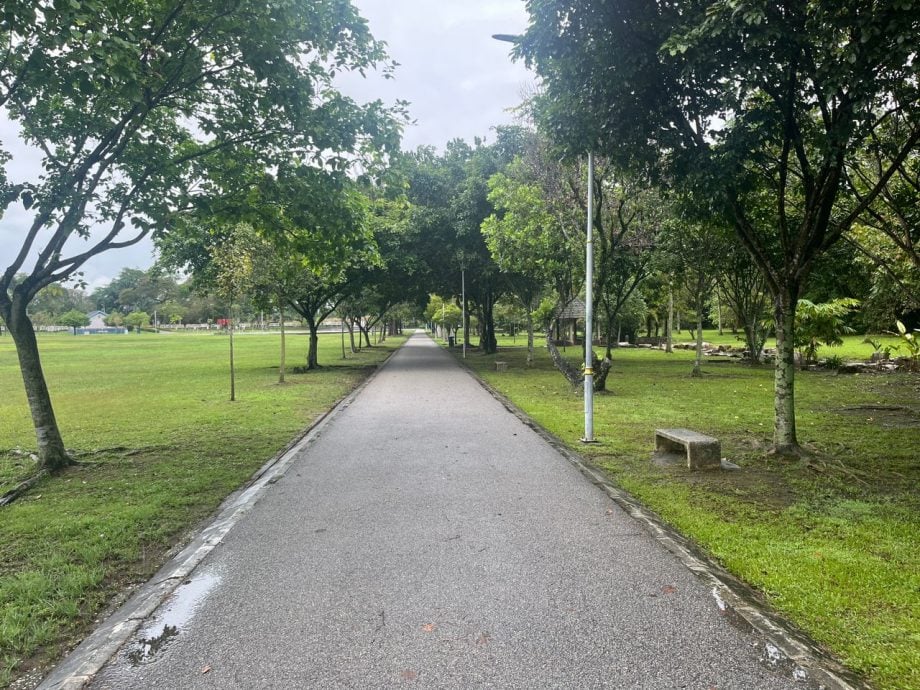 怡马球场现“水上走道”奇景 晨运者惊讶看到鱼儿游