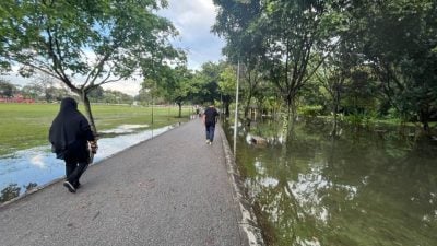 怡馬球場現“水上走道”奇景 晨運者驚訝看到魚兒遊