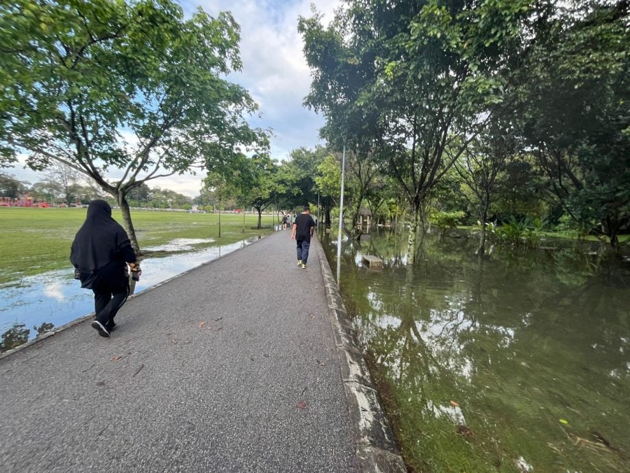 怡马球场现“水上走道”奇景 晨运者惊讶看到鱼儿游