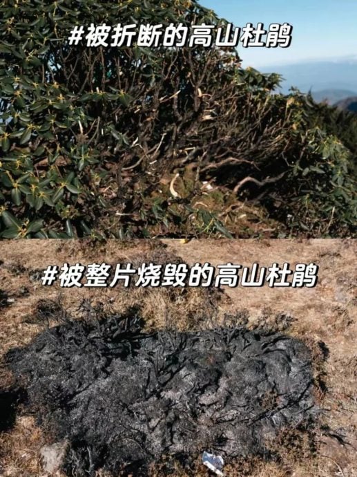 无品游客夜爬云南大牯牛山“烧山”取暖 12人被处罚