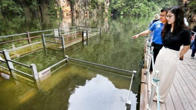 暴风疾雨天气来袭 岩洞防灾加强安全措施